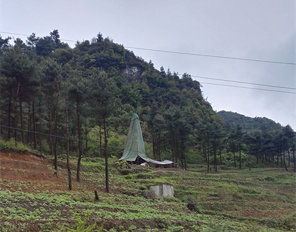 把脈“黔”鋅地，問診開良方